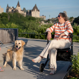 Triumph Escape HD Heavy Duty Rollator - 450 lb Capacity - Additional View