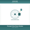 Triumph Maverick Slow Down Brakes